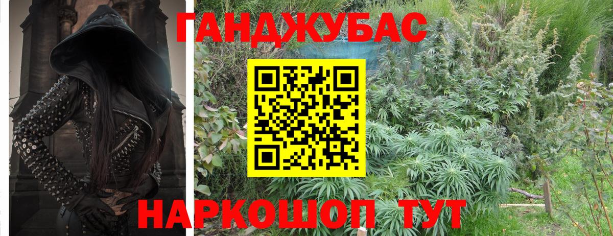 Конопля сатива Елец